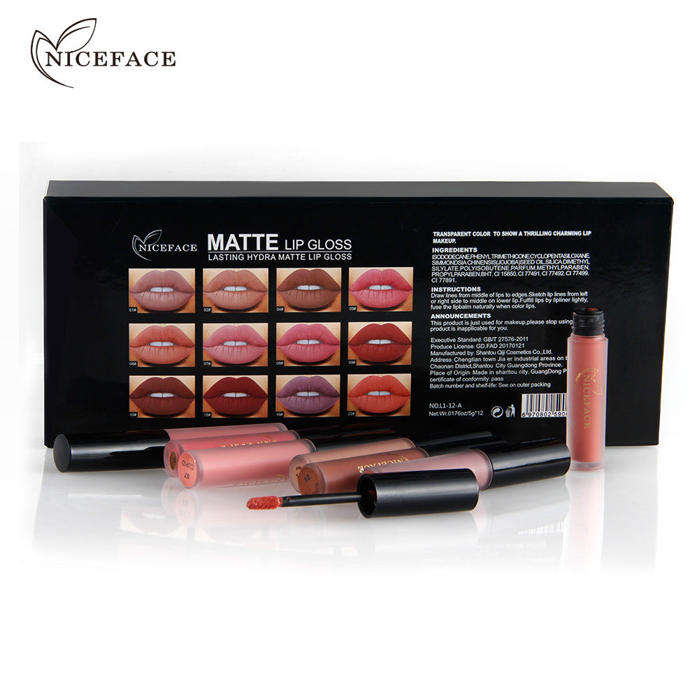 12 Color Matte Lipstick & Lip Gloss Combination Set